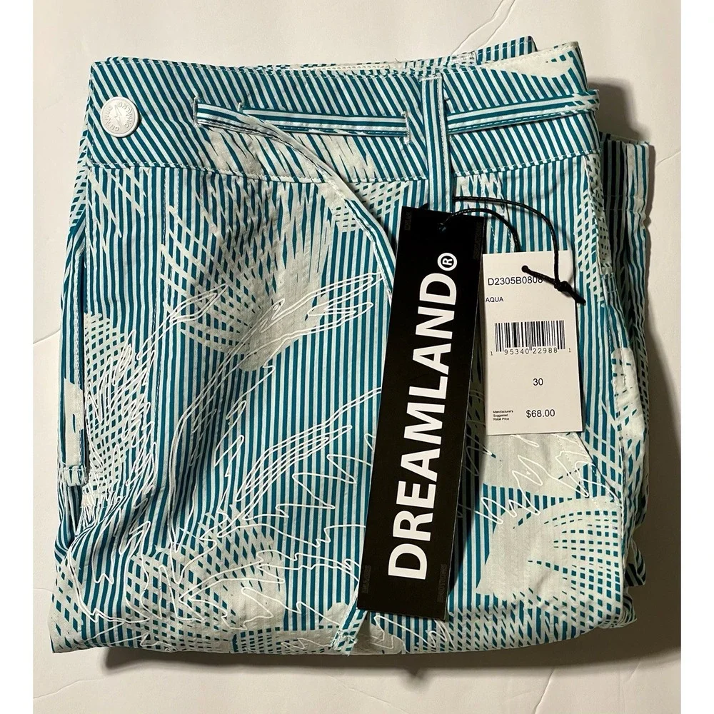 Dreamland Men's Aqua Stripe Shell Shorts Size 30